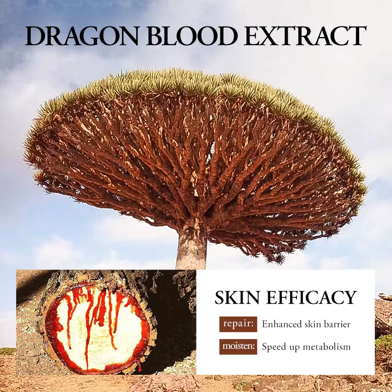 SADOER Ganoderma lucidum sang de Dragon sérum pour le visage Lotion hydratante émulsion