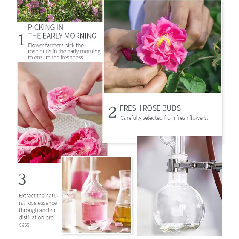 Hydrosol de Rose damassé