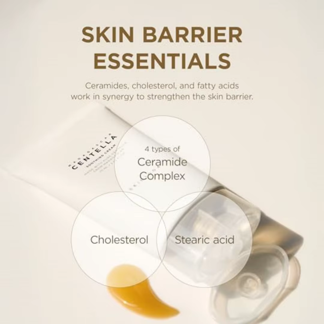 Crème apaisante à la Centella asiatica de Madagascar SKIN1004