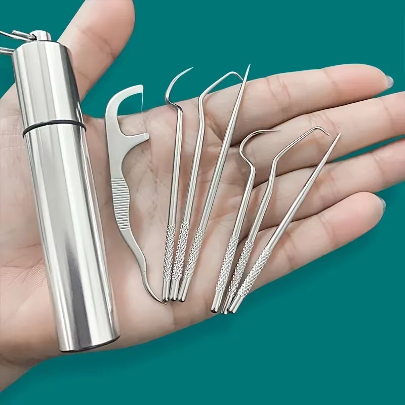 Ensemble de cure-dents réutilisables en acier inoxydable, fil dentaire, outil d'élimination du tartre, nettoyeur de dents Portable pour le nettoyage buccal des dents
