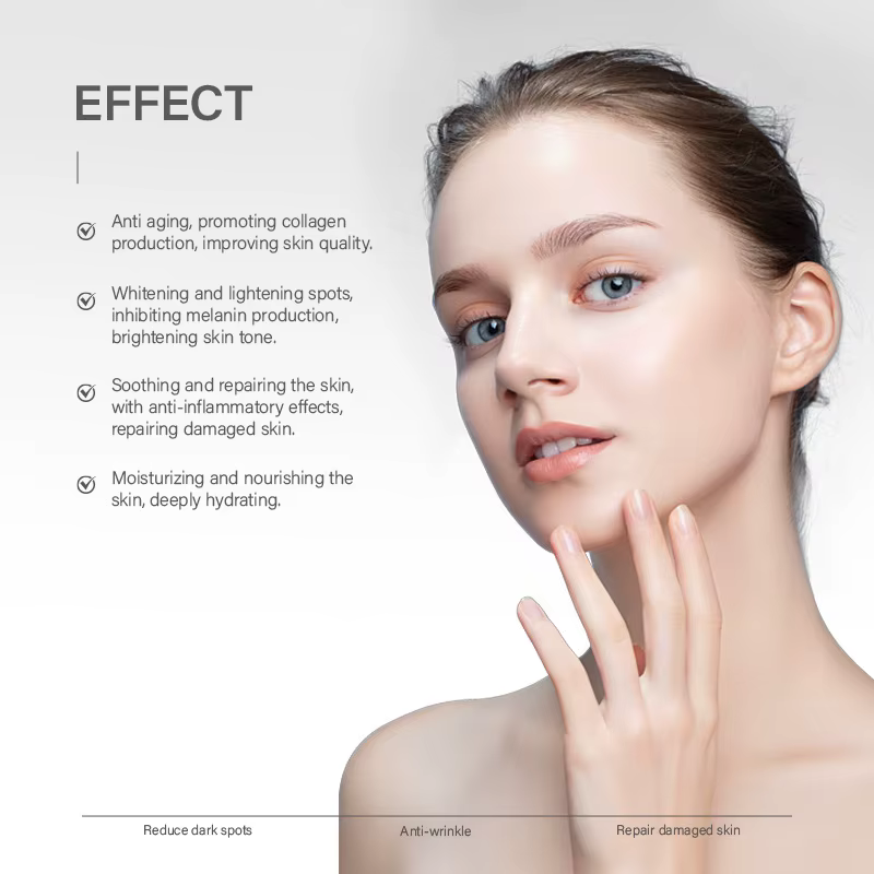 Professionnel haut de gamme Anti-rides CONCENTRATE AMPOULE SERUM Renewa Face