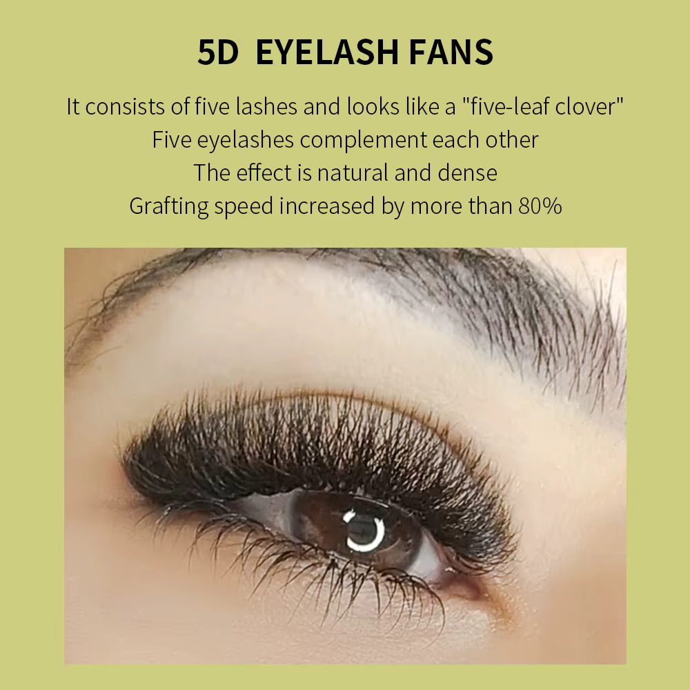 GLAMLASH 4D5D W Style fleur cils préfabriqués Volume ventilateurs Extension de cils naturel doux lumière cils en forme de W