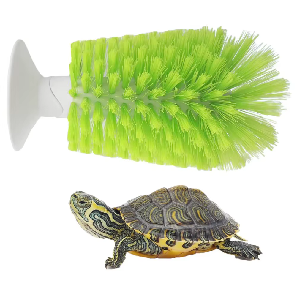 Épurateur coquille de tortue brosse de nettoyage nettoyant orthèse petit Animal plastique tortue aquatique