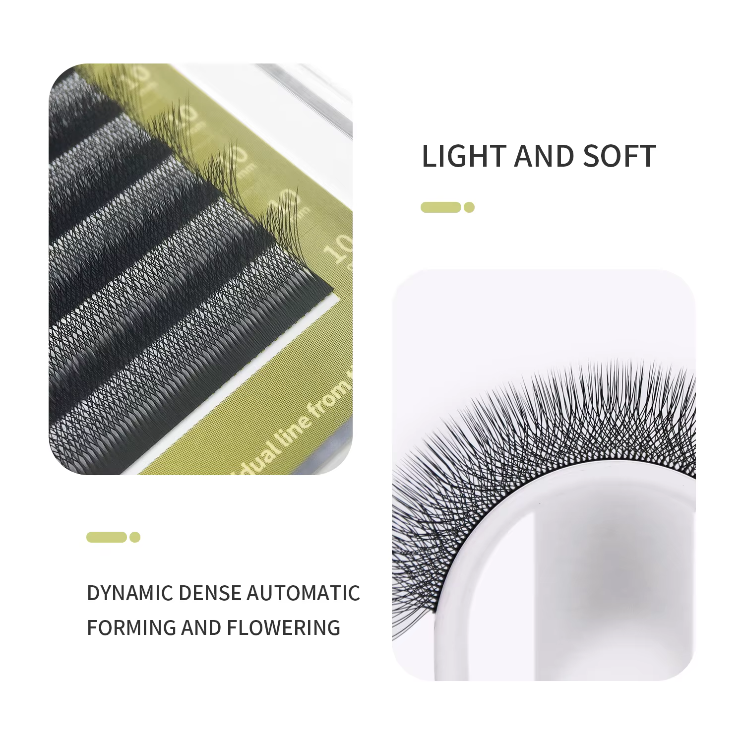 GLAMLASH 4D5D W Style fleur cils préfabriqués Volume ventilateurs Extension de cils naturel doux lumière cils en forme de W