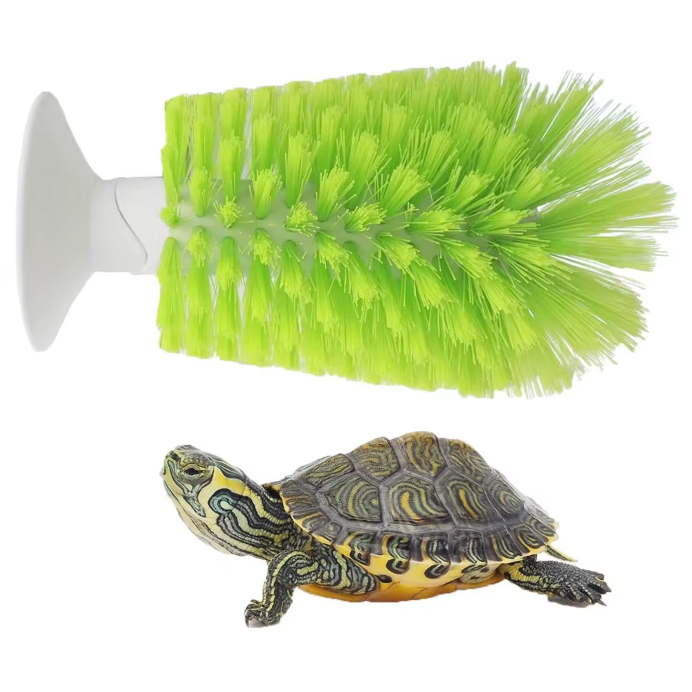 Brosse de nettoyage en plastique pour écailles de tortue, pour petits animaux aquatiques et tortues