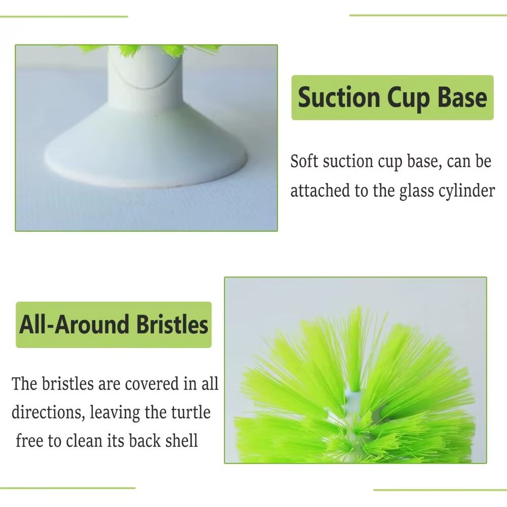 Brosse de nettoyage en plastique pour écailles de tortue, pour petits animaux aquatiques et tortues
