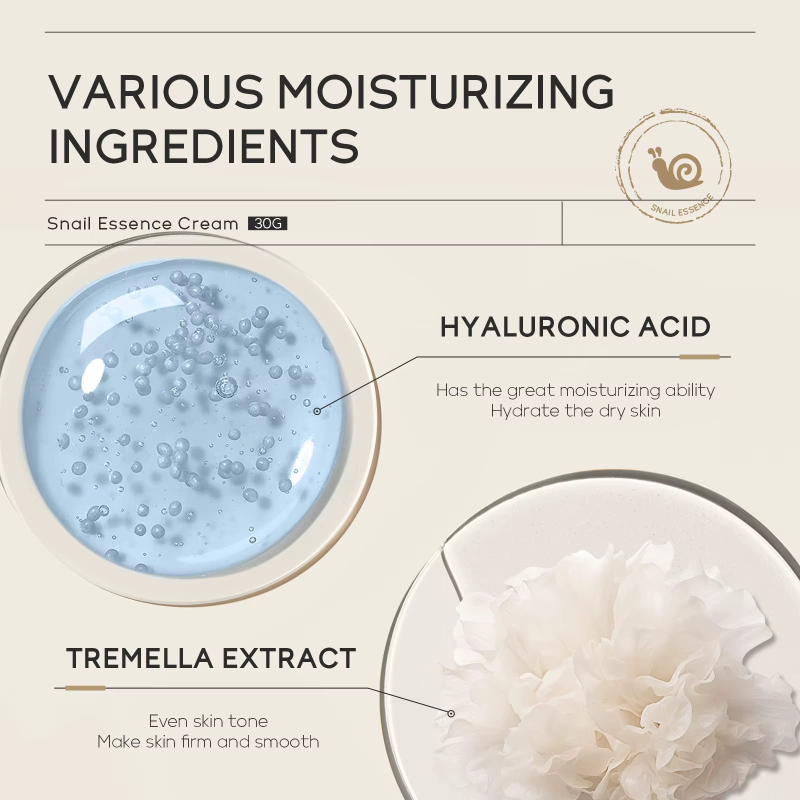 Crème hydratante pour le visage à base d'escargot