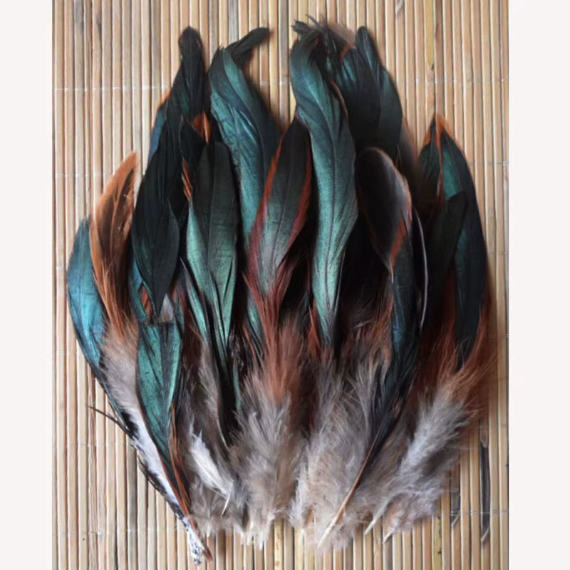 Plume décorative pour vêtements de scène, 12.5-20cm, masque, accessoires de bricolage, 50 racines par paquet