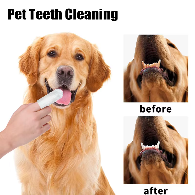 Lot de 50 lingettes pour animaux de compagnie, produit d'hygiène et de beauté pour les dents de chien, chat, chat, oreille et œil