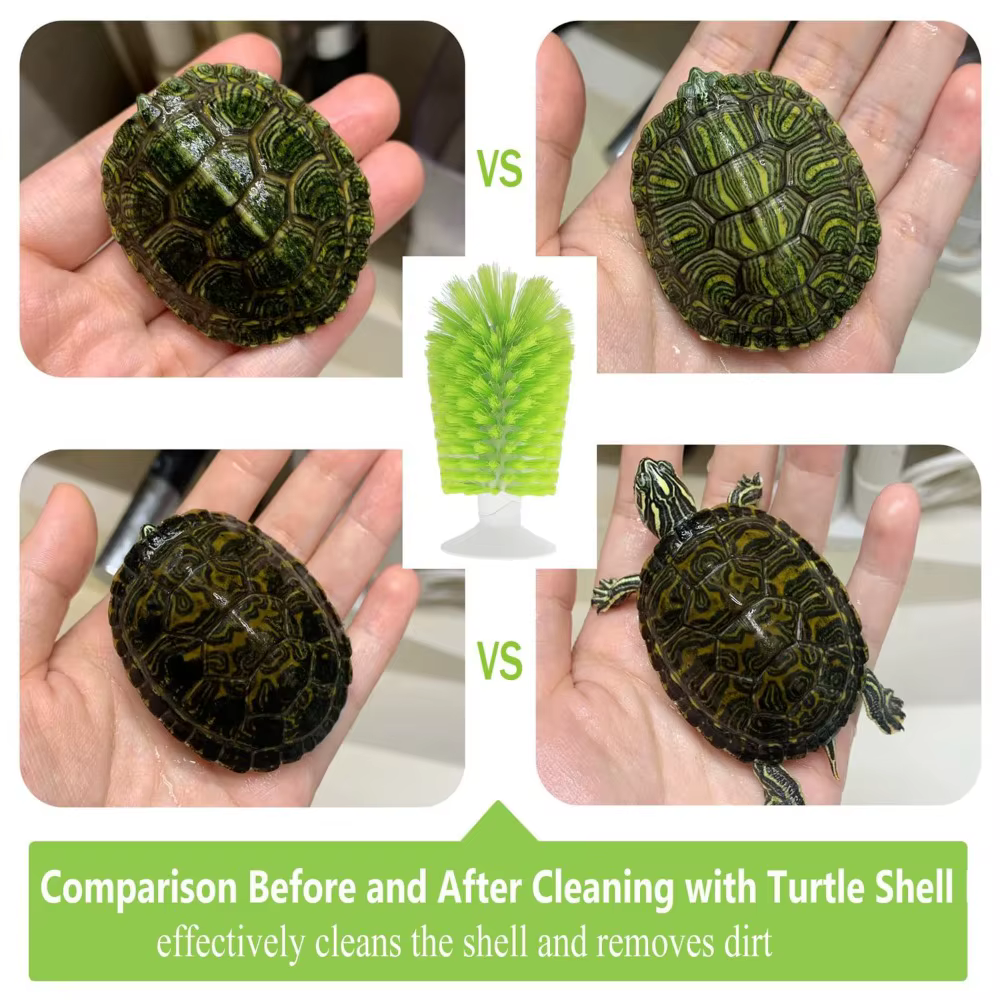 Épurateur coquille de tortue brosse de nettoyage nettoyant orthèse petit Animal plastique tortue aquatique