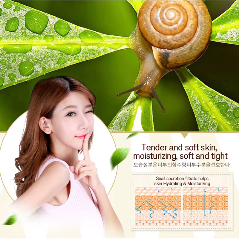 Soins de la peau crème d'escargot