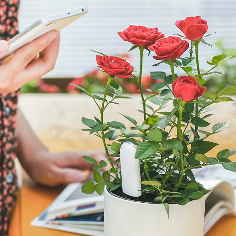 HHCC Xiaomi soins des fleurs moniteur de plantes intelligent produits de fleurs moniteur flore jardin herbe sol eau fertilité pour Xiaomi Mijia APP