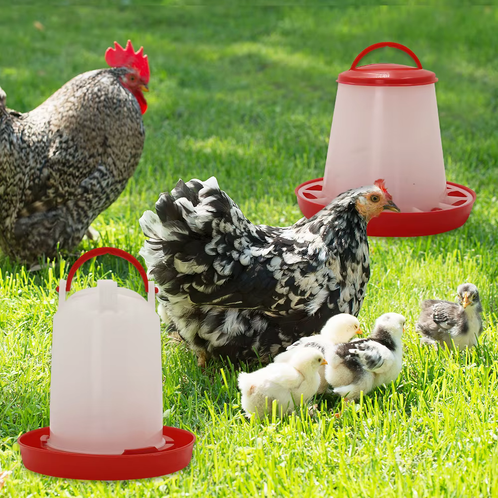 Mangeoire et abreuvoir automatiques pour poulets et oiseaux, 3 kg + 3 L, distributeur d'eau et de nourriture, seau d'alimentation, conteneur