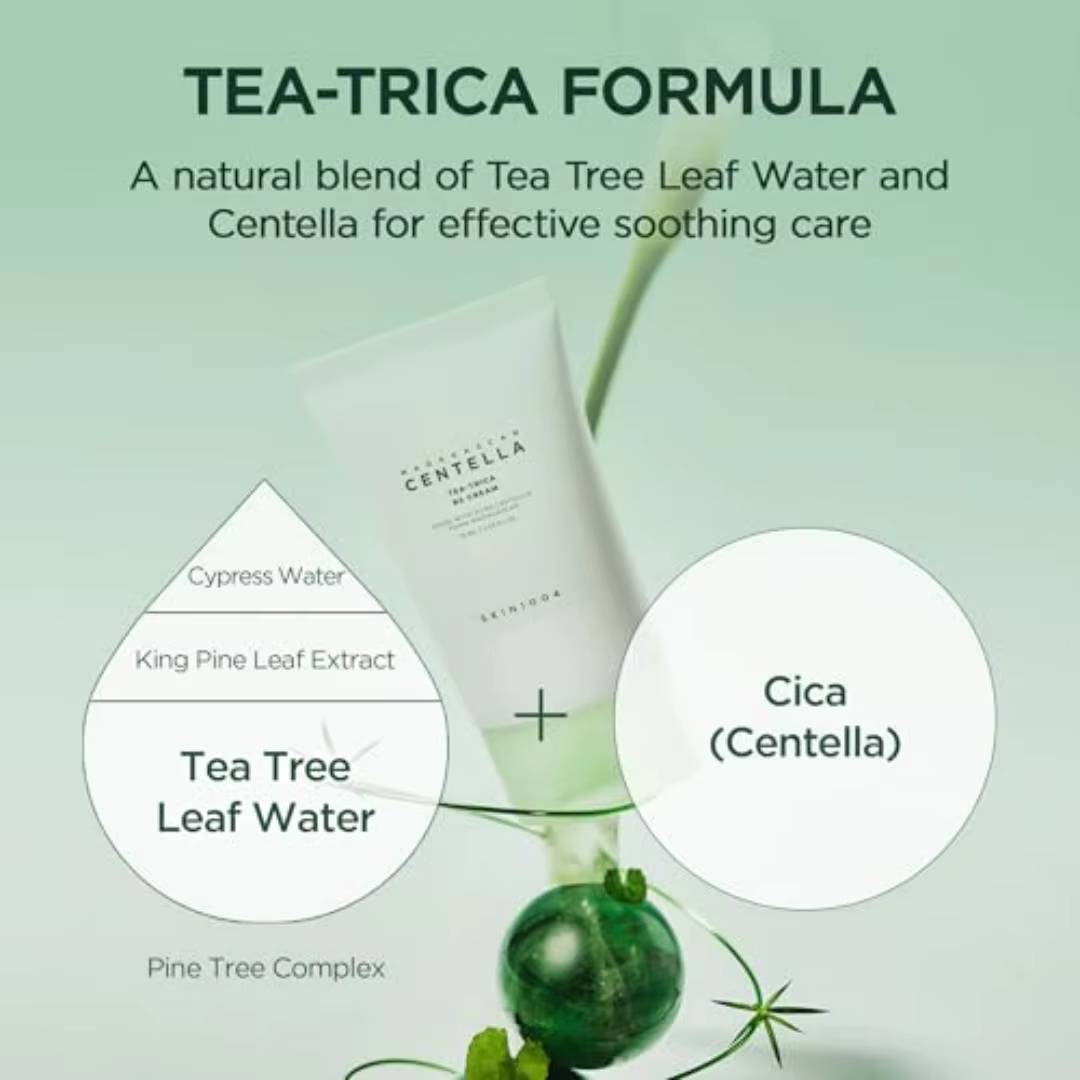 Crème hydratante pour le visage SKIN1004 Tea-Trica BS à la Centella Asiatica